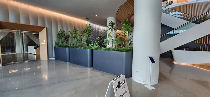 Lobby Planters