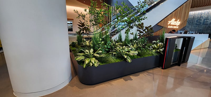 Lobby Planters