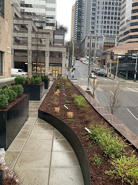 Seattle Exterior Garden Planters
